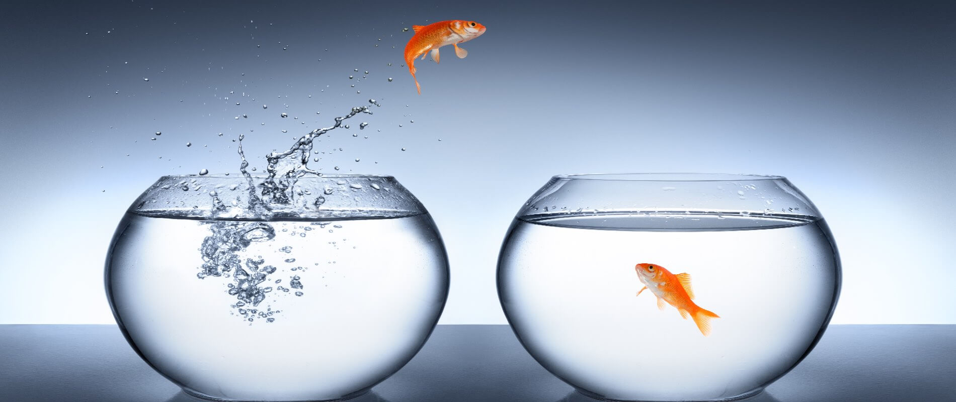 Dating and Relationships