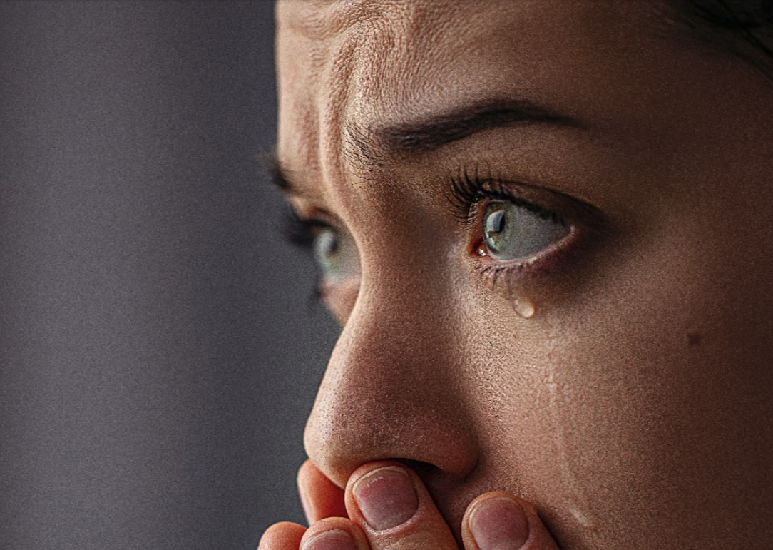 TZDesignstudio of Lake Grove App Design Image