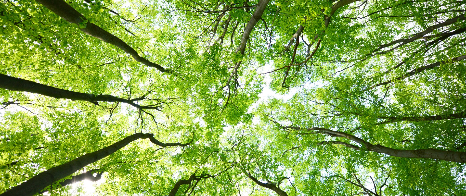 SReclaimimg Yourself